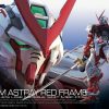 [現貨] RG 019 1/144【機動戰士高達 SEED ASTRAY】MBF-P02 紅異端紅迷惘高達