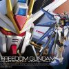 [現貨] RG 014 1/144 ZGMF-X20A【機動戰士高達SEED DESTINY】突擊自由高達